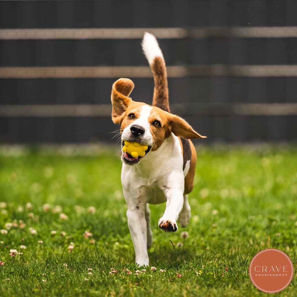 Rules are determined by someone else, and they often don’t align with YOUR values. Boundaries are the things YOU decide to put in place to make sure your values are protected. Think of it a bit like how we put a fence around our yard to keep our pets and children safe. The boundary of the fence protects what we love and value.