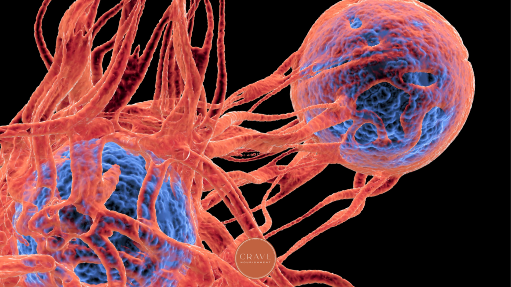 Histamine, Mast Cells & Lipedema: A Possible Hypoxia Connection