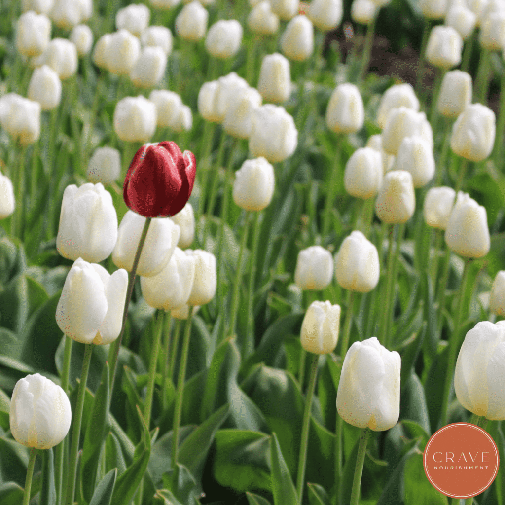 One of the most important things I've learned through working with women with lipedema is that there isn't one universal lipedema journey. Your experience may look completely different from the woman next to you, and that's okay.