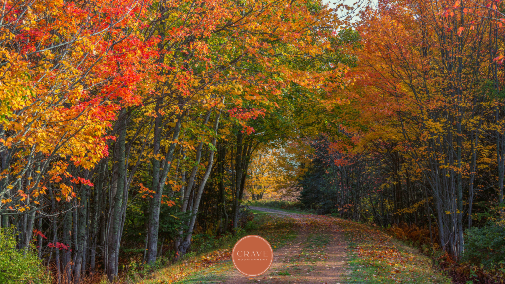 Fall is here, friends! There’s something about this time of year that makes life feel a little busier. School is back in session, calendars start filling up, holidays are right around the corner, and before we know it, we’re juggling appointments, family activities, work, and everything in between. Just thinking about it makes me pause and wonder. . . will my healthy habits fall by the wayside? If you’re wondering the same thing, you’re in the right place! Let’s talk about using the change in seasons to your advantage and making healthy habits a priority to manage lipedema this fall.